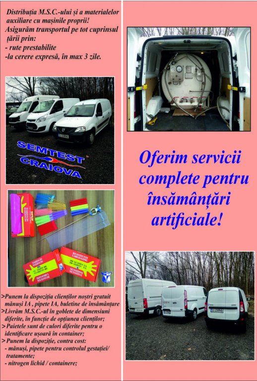 Servicii